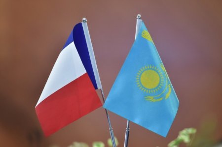 Франция и Казахстан: Сходства и Различия в Векторе Развития